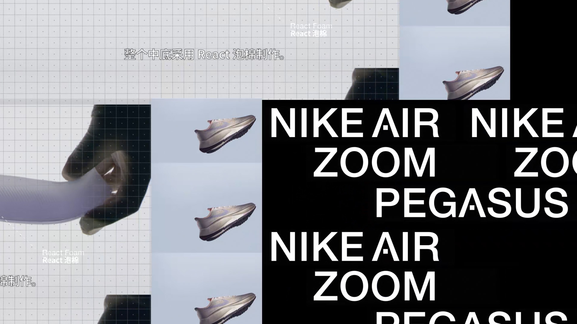 Nike Air Zoom Pegasus 37